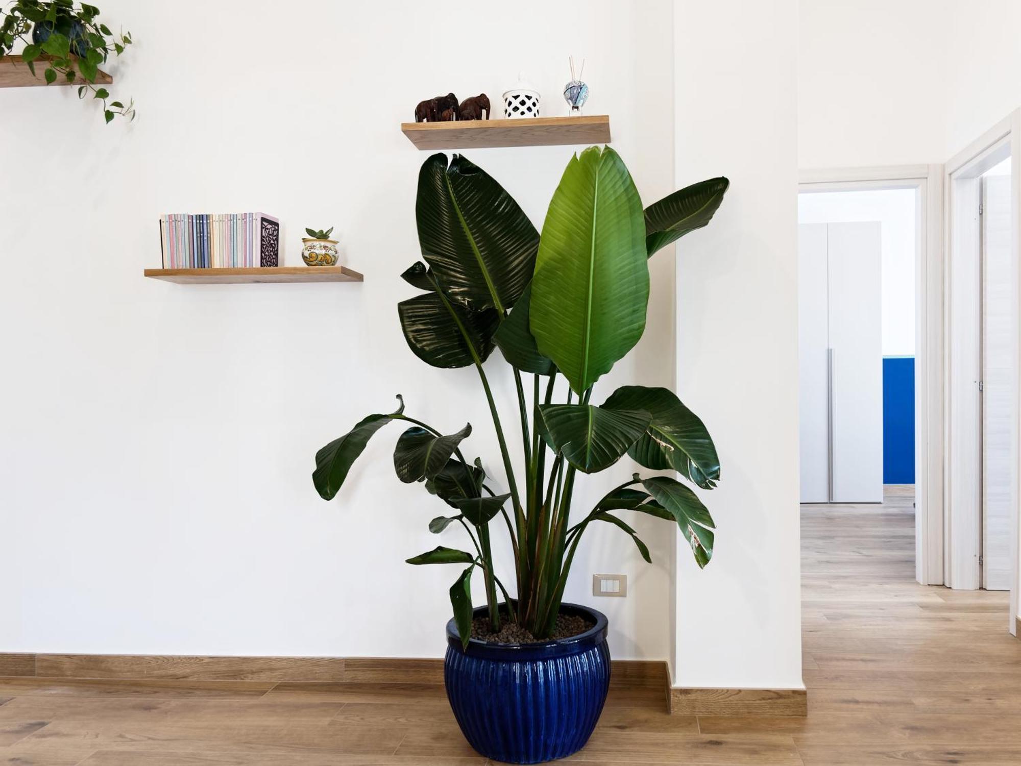 Susanna Boutique Home Vico Equense Esterno foto