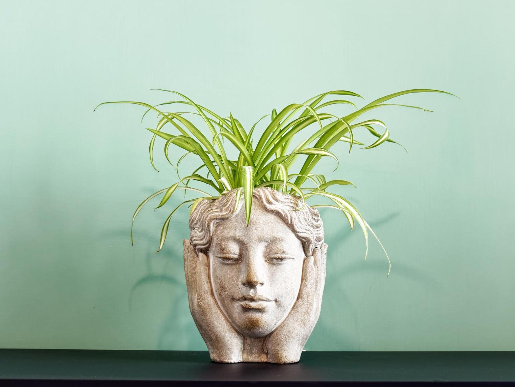 Susanna Boutique Home Vico Equense Esterno foto