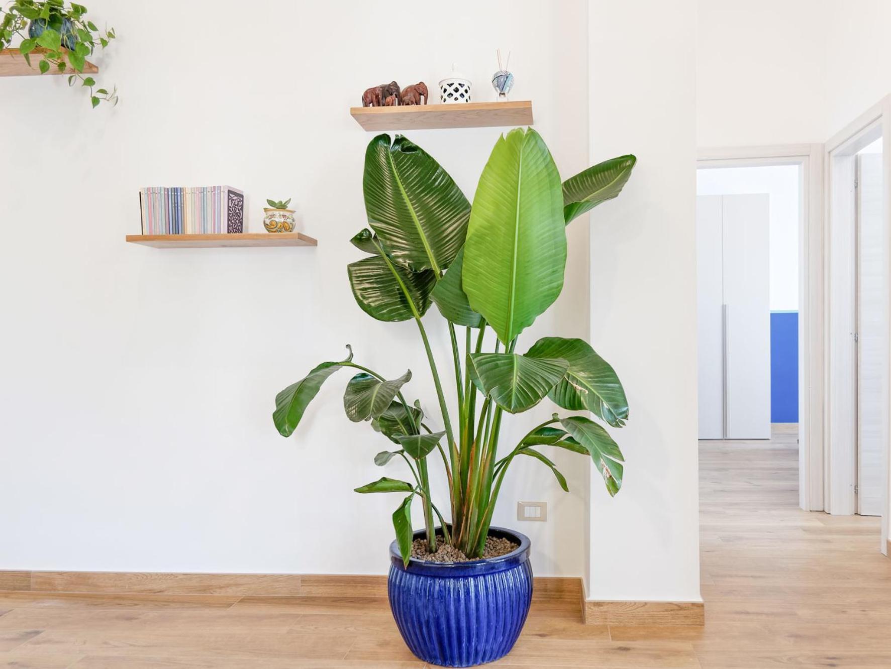 Susanna Boutique Home Vico Equense Esterno foto